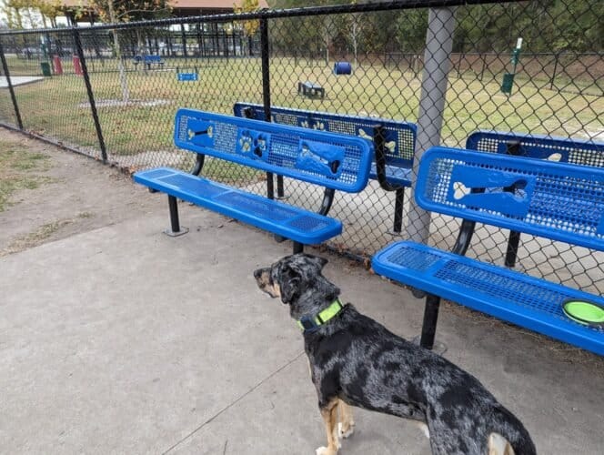 AC9h4npWGLZNmZO4HhVQpara gCefH0vGbupTLn P91MhoC0yfVogw4yCYXeTX0wikSusC6Pmi IQh89FNeW72pKIOl7AEtV6lk8akg33jfhsG7ie61bS  GJqK66lAPZwj0lu0wRP1Xw1600 h1000 k no