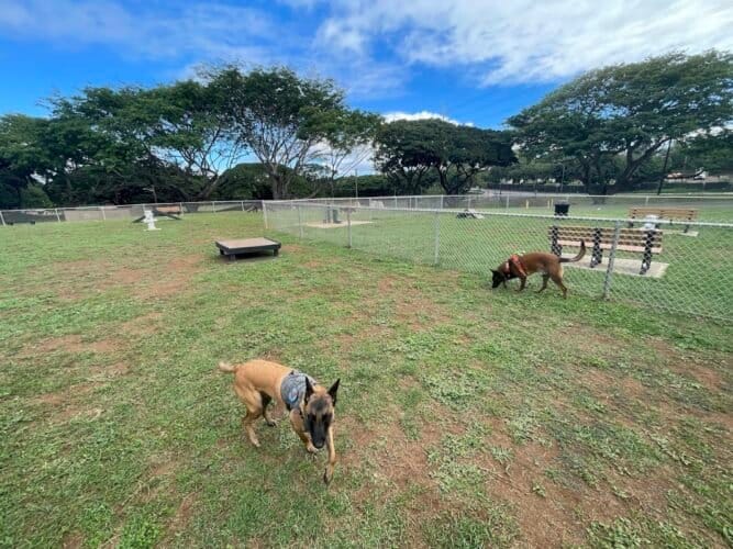 AC9h4npWITyzd6BrJhTcrleTiw8vwNkK36OVqAYSGpwQfCinjVKM4gTT2L4T4TcMHTwNGnz920Yb0vHEQt38QYKx3xvnm3KMMco8 p5Ws8UD8qMUTA32xGXSnSawpyWmO94 cyz gY07w1600 h1000 k no