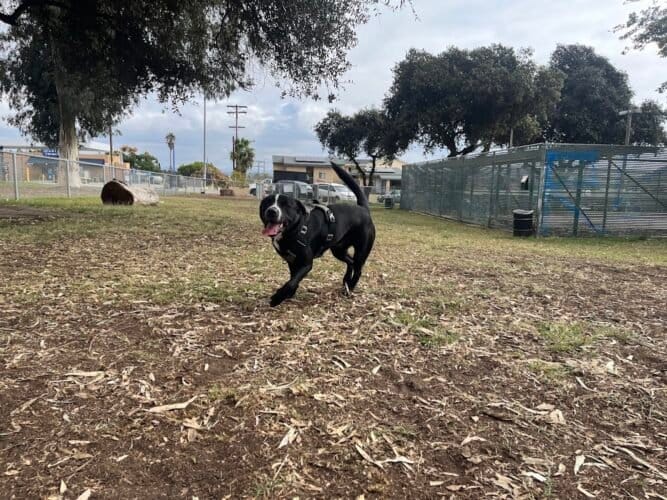 AC9h4npWL5764pJ 6JGe0oz136vVZVtN9NvreCWDYe8ArL0rkqgGfsvtqddGAn 6iYLr2BOZP11u7QI5QHuKWE6yGatwRmzCaskKEZywTGmVMaa Dfi5C2nu3flaMxg8b7VUPZ4XwSp dQw1600 h1000 k no