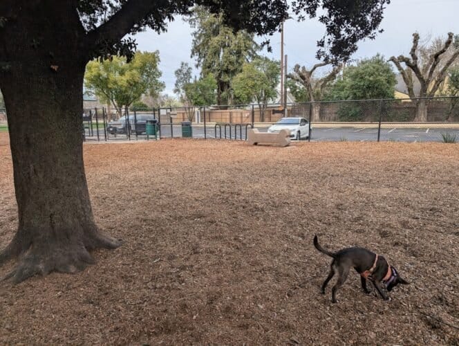 AC9h4npWro Qy3M3AQELkrkAp7gcolI T l7PdtqpY894oDvQZuoJ673H8LdkCHfZGlRhCwfKy fOQkVKmHXkwuG7BYZ7 3O4PVtOrYP3wxXCicxzRa8viFtozRtwJl3ddvglYijcOSLfzpeBCBcw1600 h1000 k no