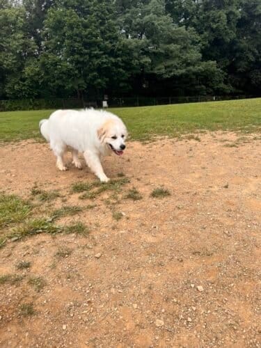 AC9h4npX5J fivRTjmzX37GFv1JbgXQKUY6th2so3 qeOj4kuQXIz4RqaVPxHma18ibjhRRglHIftpCCIOKP5 bWXOdmjCmmSTc0zXsv1ySZBpejWl22GWsT60OzYXKU7lnbE3Ll5lEh65 6sdAw1600 h1000 k no