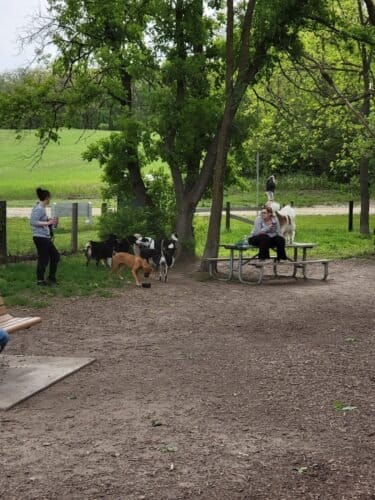 AC9h4npX7NWaFNjREYIRwvsQPnO2K51Huu5qS5z lI1e48ETgAvs6 VJPdqabA2hyBX8 EudqXNJu 0qfRLwIS0c1YncRf3zrx7CK3mww1600 h1000 k no