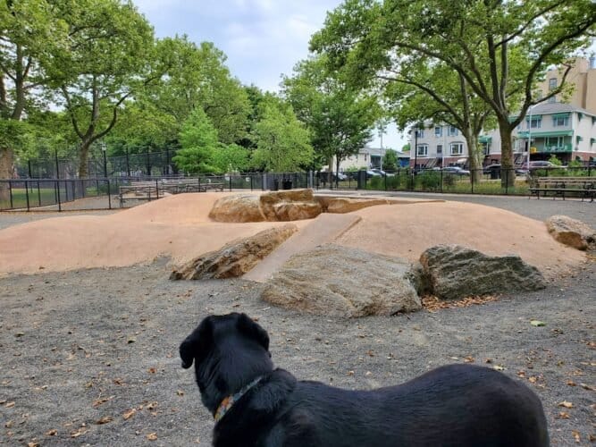 AC9h4npXNf55Zf5n63 Rgd0X7U8tBBWAjvPf ce13XVhNB9zk6bmiORElRONqt3 3zN95KmhV9wvRDXujXsBuwvP8FsEHUNlYX4mKHWxJJNr7XDCtX5UWnssIiPb FAD9pn8pvyX4Ya6w1600 h1000 k no