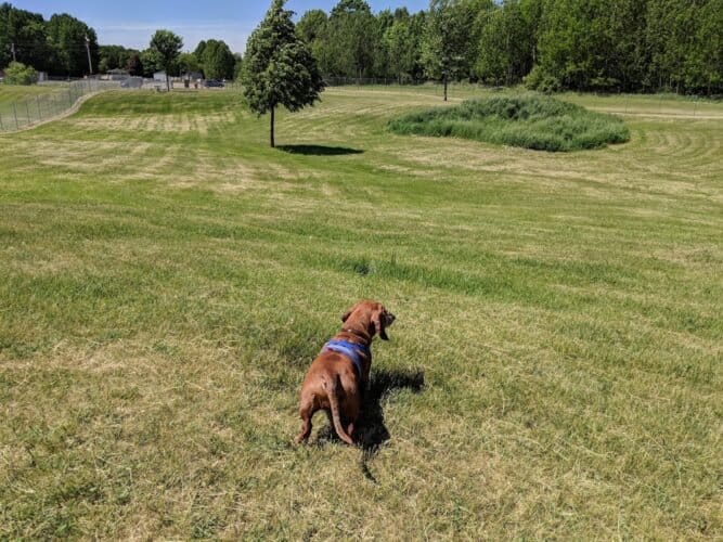 AC9h4npXQSE3HF30zph feJZe UIZ5nOvo11NkWg5OrG DRJoP98I6 BNYRTvEvJU2q63ts2eODGWTPQpM7i9OeVpg1JSKVPMue8Vxhmqww1600 h1000 k no