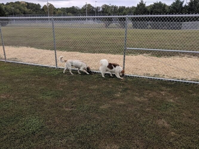 AC9h4npXUJOfV8 kTPYPS1wtG5C9viemF7we6fsJpmVUs84jgcmBryBEkaUkCUzSE4ysOXJwmWSf1s4p XXVFNkeqf6T2eaI1uCHLVqYxbBshZ64WIts2FTZsevPiO0LPtE38LBI2jIpw1600 h1000 k no