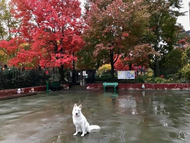 AC9h4npXaAcjHxhVupWY4frWmjgSxFCVOVCW h8rbQ6Cca7COzmxoGIAAkpHe46cM8LPkDwwM8u6 bqlceaXmsDnDtAMFb2b zN2oIDQHRPcLAp d hmTDJVSnky0tFwJ4FhAGLtdsu8w1600 h1000 k no