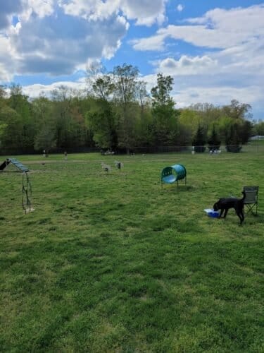 AC9h4npXcZYce2bpx90GtPeyPd 7Rydf3QwH7puF86KX5RLJEktWXZEQRPzJ8OHiF5K1wBDOS0Wlsiz9HZQiL2w4wZeOmu1cr6eKL9GE193IxlxByxUqh7M5odv3uCl4l RsyqZWseYw1600 h1000 k no