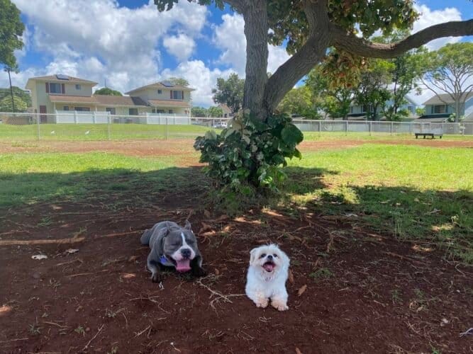 AC9h4npXeSF0Xeh JxQ9Xqfkn8rB4wrrUfrr9SL x8aNrRvrvheD9Pxp4b 5oTaHIf lIuKAUyobe2IjlCKa ztvU1SK8aBuxM0gPQxW5mu mvs7K7 vH0xqaLhYQz2ccexycr6TBqbQw1600 h1000 k no