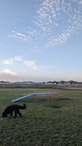 AC9h4npXh8hyTyglwSq9uutIx2hNE2S8ButBZ8E0UWvDzk0WbVoxyJhMQaIukmCH3Yv8sNP 5ckpQ7EuaKsu59KAuD38z2POQXN IMrWvww1600 h1000 k no