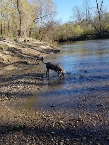 AC9h4npY1HLsdpo2z5Etj2s9Uf6jY 8dRovkNOaCPWpxZxxoCWEmiiyQMWCPb0lr4s3qLr3Z14xlxHCwjlAhvsbIbPMk5MNPYVPJJhScFhfbKgaZx3S97mrMfA3Iu QDUN6zsu8MUAw1600 h1000 k no