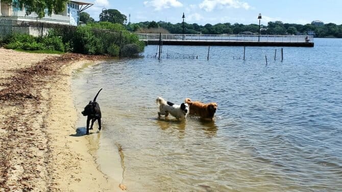 AC9h4npY2P3RVXvokoeC4fmyVcH73ypjG7cfDYbS71rtcTS9vFKJsqJ rR6uAh0sUlsx sD7X6RjKjEkUD7BeDu1aQtIz82GigfOFSNnZat J6GGuvvR9l7QO5RYVEKcHHCxLkfoSlYpw1600 h1000 k no