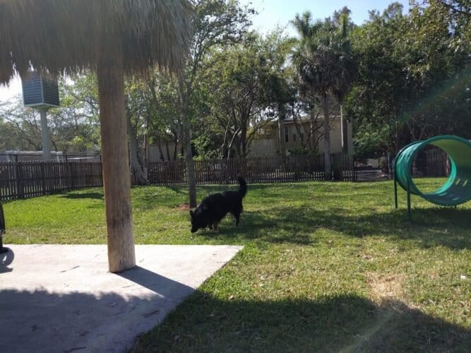 AC9h4npYC O5l5gYzfKPC6w0jn3jy220VdMQfiKDg6fpWAyHYVcJfgoMu7Zgiv2tG7UF1e2anVF5lgbSt7PJA6YmJ7tBa8cxolLU0FpxNuEwCS5BDgCzoo6lPi5zWlRe080idsIIlhi7w1600 h1000 k no