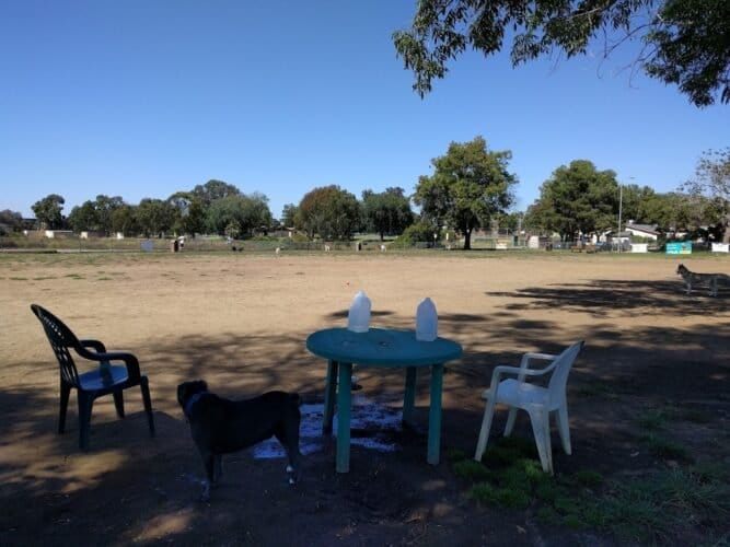 AC9h4npYJddShLAmDa53hgmH95ZHolPv7AmPvnXBtWdfG4ADM79AyG04Ik71WNRQ7RqR ZhA6nlncWsiIEOc3FZ7Qjl046NK0E6MkrTbL5u2wW5 rxvfiqEAE3M44u4cPeyvxyRMKmD5Cww1600 h1000 k no