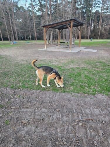 AC9h4npYNqDmZGJUnsu9uyVHAKgPT 4cAztWzwHtu4rVlBkISQ9N34Qucnf18UH2hPQ7fJyMxnZ03GiOptwQoVjdwEbAsPQhoFnJ49GmZ2oaeHXZ6RHZFTJdqh8bxPyAM  wLq1aiiXCSI4ulG1sw1600 h1000 k no