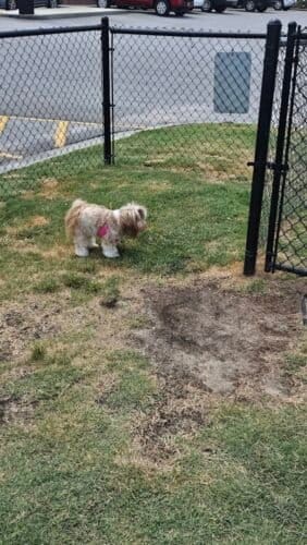 AC9h4npYbdYqFi7MHPAOyTV IwsaqZsq1itL lb QZmEQXrDbFCz0dxiO5c6NSKpzxYTCoeFQQr8CR GPt NjvgoRUqi SdmGQp0q5 u3r5l9XpS ApAlULpjAV2KV8KG IgM7OBCvQnKy0Eomgw1600 h1000 k no