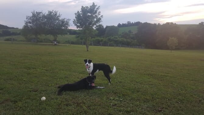 AC9h4npYfcnvJ21WUly8UwxxtUkEAPi3VyAzCeVqHJIcLduuUX1i923ISsPTbKjdxKfiJ8inkhLs7YxcFfCq1oIsYQcEBPFY4RF4UhR 3jrZuHIFlTymMH3yOXeSg7eB4DNp6 eYUYhBYww1600 h1000 k no