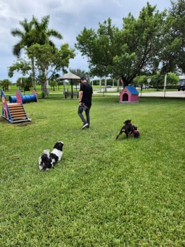 AC9h4npYkzOsdi1VEM03OyUyJr17Goi lmuzVx3Wba DfTK50VKSwllKB1OMMkM 5zWNdmtwjLn8nYKXJ650xb81vGR1ZS61m58yV lEswATF K60 NilyP8aH0zGP tE28feWfS5eVw1600 h1000 k no