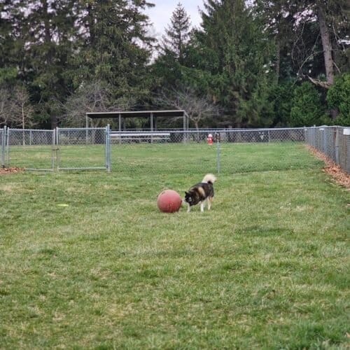 AC9h4npYw1e7 CzcEoZ1zyNgHha KRZUfuftesTvFSAoG6TzJZ mqoNvTUiU9jbKfcgWBmIYaVAFYPUv6aLnQGfHvdaB8R8LH0rk3stT6aZQNNo g ENAp7iO69A11TarWm 0NDz0OHv8Qw1600 h1000 k no