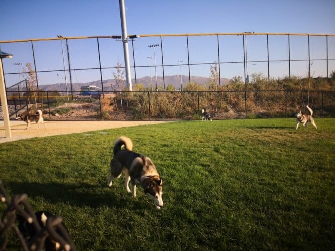 AC9h4npZ Idd 65mzZQK8Zr5Yd58pgnZGQWODCnpHveEdnRVT2xtgepzrWJ YqfICpCx6J61bFIA7atAKsnkWj6NPt3PRBR0m4DQeRD5Pfo0 Wta vFr0vZERYsKiLlgBE4ruEDHgd4w1600 h1000 k no