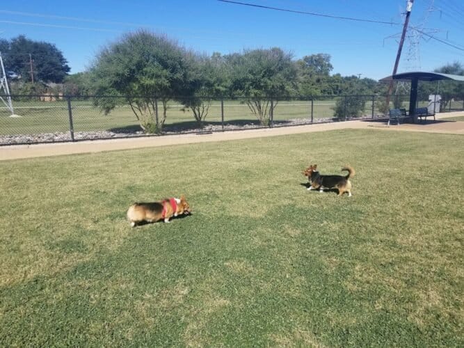 AC9h4npZ1398FuQcqg1B0TSquObAmF1JmROxGk aadtCvQPYx2GYEp Wsp61jv4RStzm2dixMrYbowQI ugKvg9xb8eUAS1pJe138TYcWIg3ajP6ym6M1ge195iVx6eInUsLt4pdMCc6dgw1600 h1000 k no