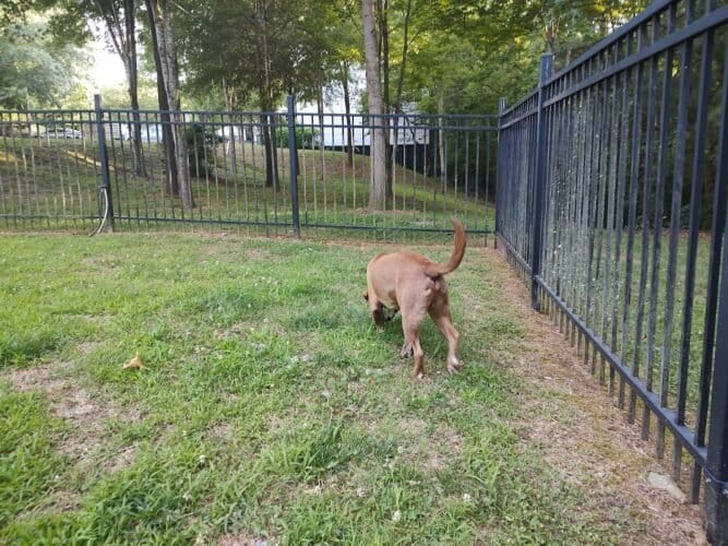 AC9h4npZ2TmkK6W X7y8tmnfftjEVPHbLqaCtiq8woyAUMs0AH4C6Tz7swTZ ahx2U4FUekJ1TLGvIUzook1K6MkUs2L7D8vk7 JXO2HTdJ5zdT2LXqv0pYWp2ba9fpqM  zNJEdJKY0w1600 h1000 k no