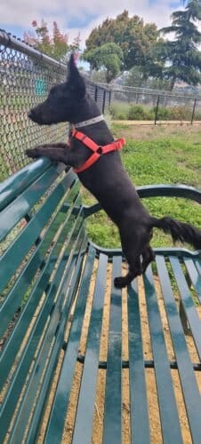 AC9h4npZAFHhRvLf7 ZBCKG76RRVfkxI2tqEHETCMEsnH58wxaAK4X rVLrmwEDZuicu97vGi4emet JYJY5UirNIOQNqe SYofDcUJP5tCqHj9p VtV1WEFnEQjl2GP7v 6ZtglBKXsw1600 h1000 k no