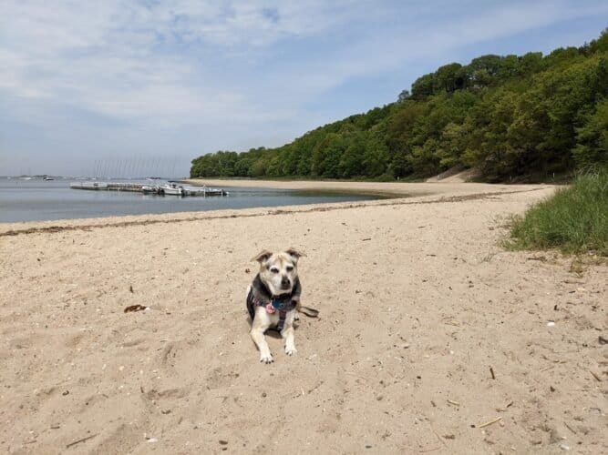 AC9h4npZFkXfEI8dG5CfmavL6cZnK ooAYXjdKB3uW2LrQaDDQRcszSWs5qKpp nVpqxfKnh2YQLyEcjdWsjqNUSl9XwEyH2p1rjBpewip7ItTgE3fmE4MWWVNtQYrffc0MyMsWClKp4dww1600 h1000 k no