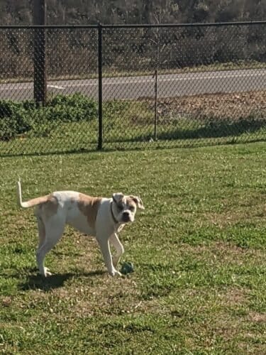 AC9h4npZJgVwiTu4VUcJIXK1orQUZhdqUCOt3RqC MR5ga4VCHzwe9RKZ4WubdAsZUO26WQRuiw9dP6 zkZceZVLWl MPOaVlSNCxYnWor88XMjIT0xEEIWBMlz3TJ0XTJnmr8ym2759yQw1600 h1000 k no