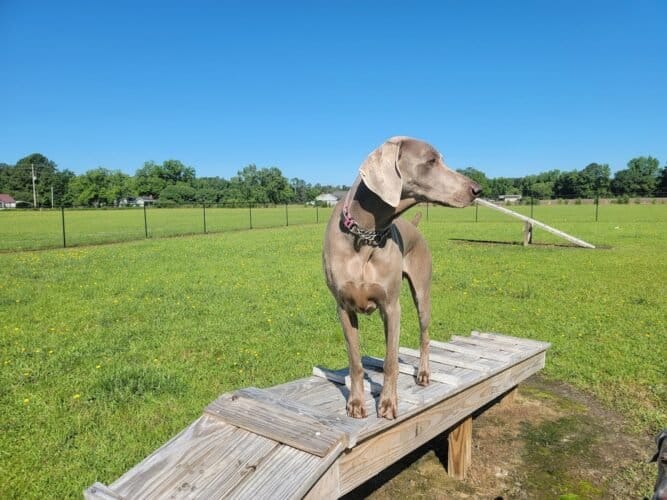 AC9h4npZWLhFTn2AQ8TSOUHgBfsPfRz3P 196gKE30kpYxZhMeFIbfZEJkNizz5Yx8BofE09BSdJQhIfJVgm60lev 5k7qMg7ybnOr66BOxUfpZBmnn2ZawVwUJaLl4Ayk 7JEjwetHpsQw1600 h1000 k no