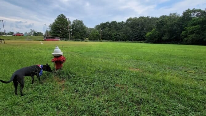 AC9h4npZgFmsh62VslOBYmhXhGb2tBNXdszfQ wQcavpfUdFYuorSWKklMn VsajyKJ I1UFBmjk45mqvAxFBGgsAATaDcGsMnyjAyjj30wYpF014uG9FykXZ7u2JgNnZ1bHPRQmV 9bgww1600 h1000 k no