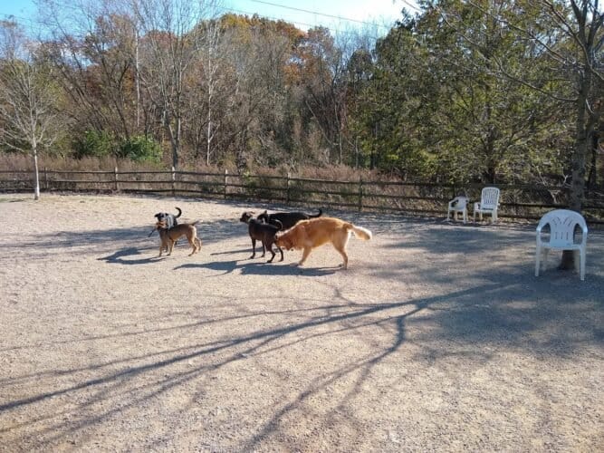 AC9h4npZlUPYj6rHd5mVM1WmXqcRK610s3N1GXeBvwDsWeh9M9sZTn0ImU2NK1FTz yjgwF4BGGmiQXA8yeaDoDfZXXKSc1Bf2PFh TUBUjhuOSDr1yVVMMm2spsKBK91FUIr9Bi Iel6Aw1600 h1000 k no