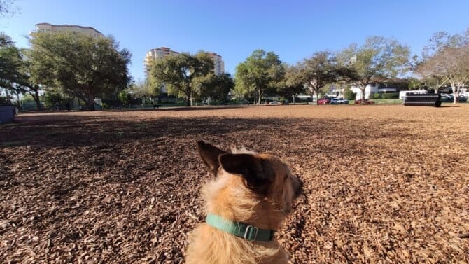 AC9h4npZlXPUijLRqY6hlp1aenML2eadPm5URfroJCtlLsgeZ2wa0BL6WEJgLfvKyWrxAbeJMAOKJ9FVnIyGrd1HLFzCO02iEX87 JP2TzqkWtVAd4jRdGm mmkTiIdTzFzq71N32j9o8Qw1600 h1000 k no