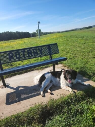 AC9h4npZmqUwSTpU8CaLM1pxZNeIxRjhMutHkosM8cn51IH9CSeTWKAOAKJlpYoGnFak1kEzPFkQdyLcf3TQhJxzE1 GNu ad5pxR3uOqzfAAuZzU489eD5VzW1N bkrFz2Phos8IDYprgw1600 h1000 k no