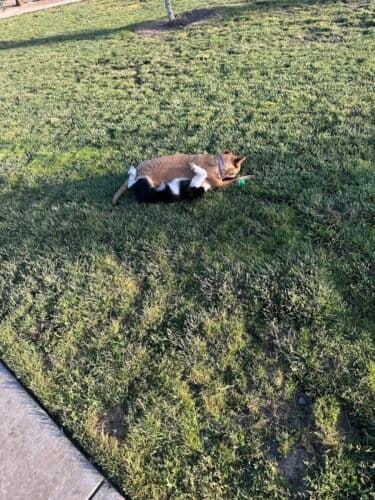 AC9h4npZsS88EAZmfJViiqR3rsRUoT8kRbjZJjM63WTaFqfb8g0M  kCibodh6DX9BI4FXfXIDx7np63H1HSF2o9pPNazj0xA5ihHtQc2vqQ4ET0RyPSavryFbv3Ht2NoksBl PGXconw1600 h1000 k no