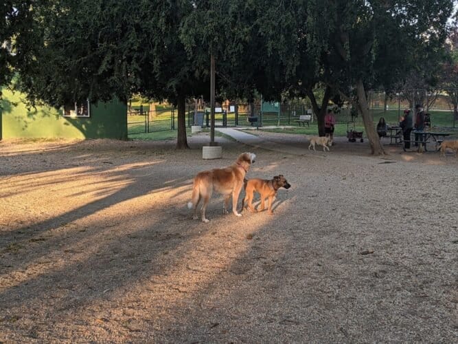 AC9h4np 2JeU13rfm1D fcRMr sXpD W8GNzUbRpFKXfRCwUElqGNp ZjXPsbitgFODDT7fLozz7pMSuu Pt3bvpV1WA77pllEMhEoPSTmf NndXjztjBr D2YIQLX3LyREPhpjCmqDC7Qw1600 h1000 k no