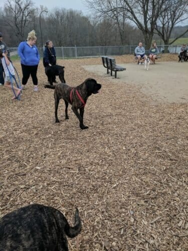 AC9h4np NF9oDvhrODbGArTXqVWArqO5 wTScif6r8W2Lyp 8ipB9AmNO2x yzEqkkx49VhFR2Ao8FbYN9NBgHu5FuKcKVELDOlCl0kz8 7cqgssmWqQb5RWHVPa2sdMZfJklJw xmbKNAw1600 h1000 k no