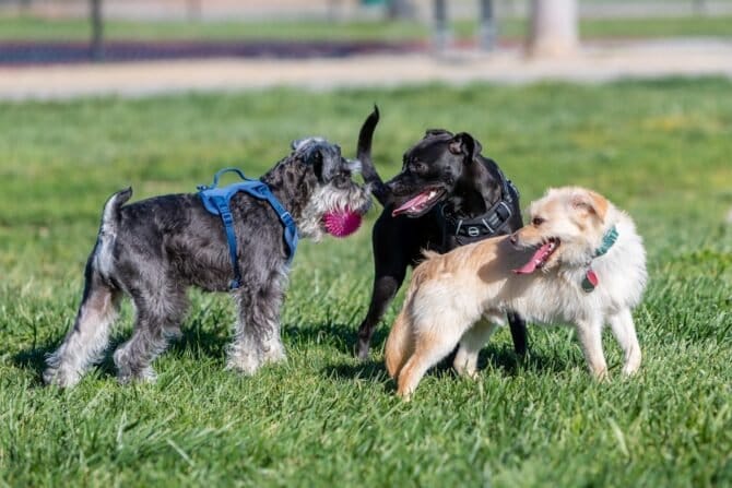 AC9h4npa2r5QxlrAD4dUJ9X 9VIkD erVSzL2vZ r8biFHl vLA7W12GJ258mO7GDV bxGdYXDXEvSZ3kOwbMBpTL2a9pvzxhHpE8rZMpA3NXy3iV9mRlDTkaHE7acr i XPJK9lMlUvw1600 h1000 k no