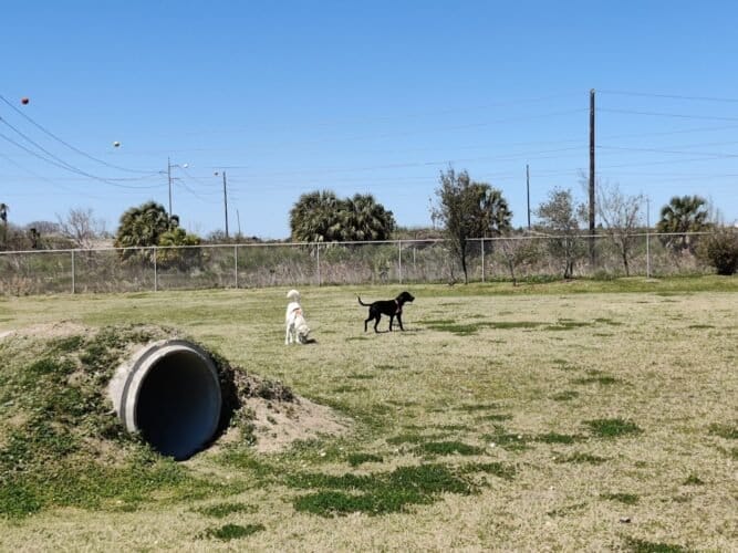 AC9h4npaInIOpUnFD9MxwUNi6iSy2CA n0LaoFpUMvGpLZcK8d6iYXN2 uKflEmgu k g897MrCq29ZRdIE JQ1Tvf81s6ZUX Oc63ne3pu2KPxkQ13FgrHffB1cNbLXvAzzm 2WC9yRFww1600 h1000 k no