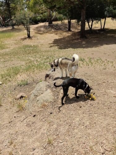 AC9h4npaQVAlrSLFqy3 f6x UIvBsjde3qYYxxlviYp7rS0QtOBGarERtFJih0 GDTXsNmkMNT6nBGXFruCSThcDXMa99068N4e24zdtwgw1600 h1000 k no