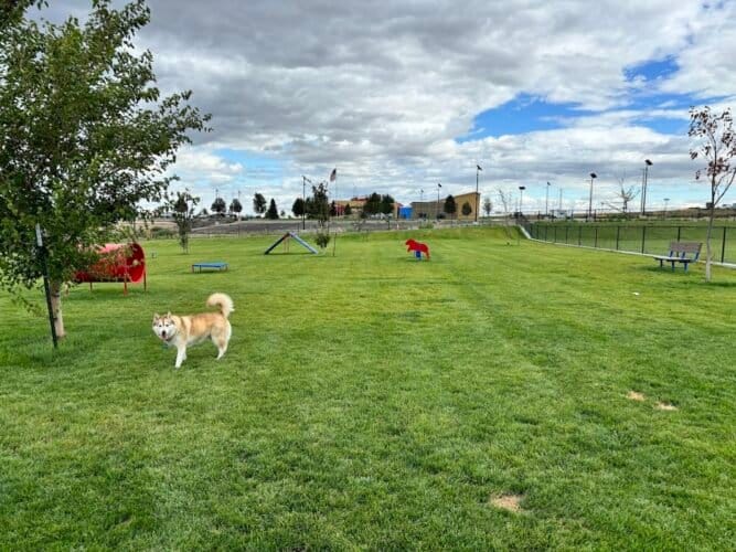 AC9h4npanO3yfiEVr JVEZvfttLyP6Pr4Rgu3LO3Qp0yBaRelGSdh4Syf4nLY9lid94sCFgJ3AxfY99 PP9vpb1bfVWeblUOtZsXWPRZrs7egW6S9m8AHw4bZl0VoLxca5OKGH63rfWEw1600 h1000 k no