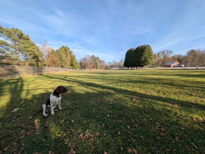 AC9h4npap0gKx8WUbKp5ZqTUHn17WK6ujdo3mzqMXzPJfmTf6KF76QQ28mil4XmJmzg2hLVpbSoRCa fbQyriOX40Uw4F52OgeV n4KsKR0B 5MeM2fTjMGyJdLBqH8HLgGtpW H5LIw1600 h1000 k no