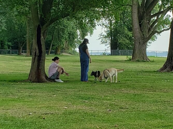 AC9h4npar5zo0gLeVbYjUucNGu jbKJ7Heb4Zha02uuclsrZ3MdZc0cQsHwAt34dPKlvbawCLVtbCt8xrg ra2GUGlF2M0 LQQaa73ibPuAw1600 h1000 k no