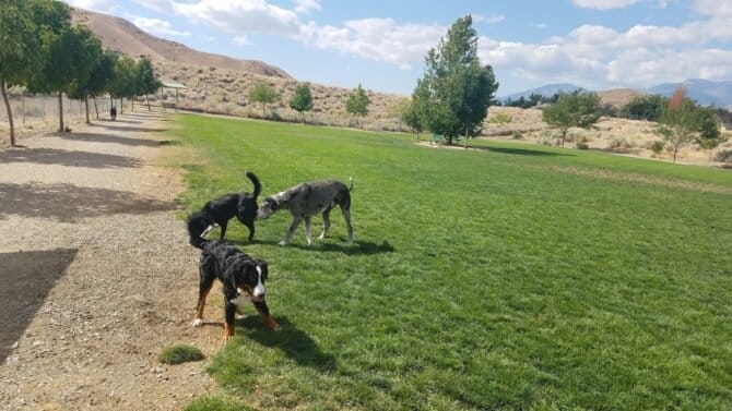 AC9h4npb 9NZPqT6qTdAMIauyDIKgKM24b62kgv9OfIC6rtIUX6Aj xIS6pObVDPwskRVY0B65 qmyPOXASCYZkaJIuEukT6q4n5xDylP6KX86K7DHUjn0YM8NvqfcyfFM1Bt71AKVjLw1600 h1000 k no