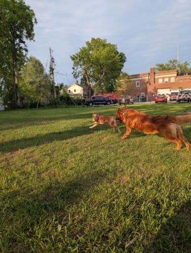 AC9h4npb jZXCnristAS2VuOpWQUozb 9Y9HhvGfikudkJc4Kg seMSMwFgKwGRF kiQmEP4xOVUWLU B8CsB1kZ qiEU7r   HbobE9uJ73Ac2iKsQFjVWSDZrLcya TrSNDZeBejJ p4lnNn8mw1600 h1000 k no