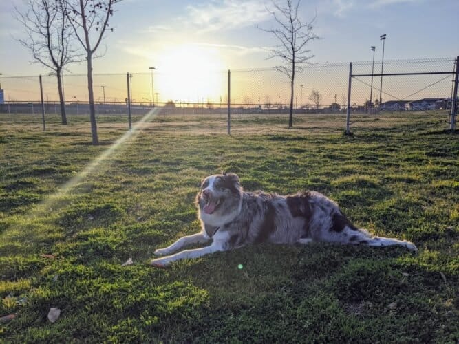 AC9h4npbDyYjMp0v xOpN3A6aNXw2CjKwawVvr9jFnrcVs llcG3cbaHwEgT8Uq29C7NYTdB StYmvGZSIDJYSjGPoIZGoAQg8TwzczKeQw1600 h1000 k no