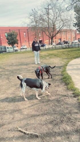 AC9h4npbL7zPHJnXSi3li9htmPsX07Ew7OgdliMaIwAYHu141U1zH19QSbr2bJ tTSCGD40jKKTgN9h kBsUm My1AYEcLxFwt XD qkPwZ1ieVDKz4oNaH YEWQDx7HldutDhlvxEww1600 h1000 k no