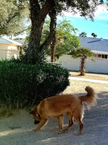 AC9h4npblZuPQk7 ce9IeAdVA 3mFpgIh9wOou1fxWWVaskSES0ddiDeO zaCfAXSzttaMxtJYn OlOQPOHvP9HwN9C37ZUXFVKgbAqvzq3qWJOdxJasoLYs mX5Fqs2yNRym VZ3iTw1600 h1000 k no