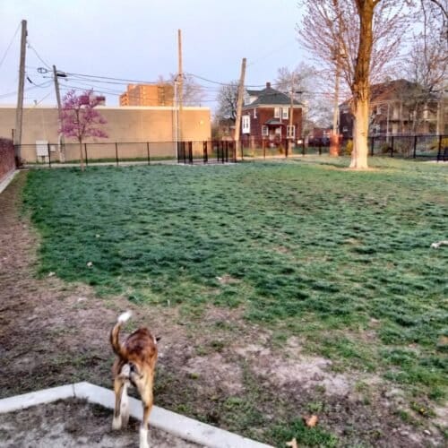 AC9h4npbrmD2iHKHG2 Wka8q1ivrkxxF6fTl9aEiligQ3uCa00RVYjf RrrRDWWhcCA CVViGL4lXQnG0300o kIXEgNvwELdl2uv5S K1uCeedqDzZOtLaXz0RSC3evoP5DizytO1DZw1600 h1000 k no