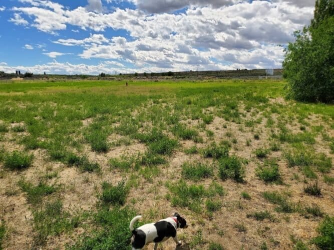 AC9h4npbzkqrV2muAg7EQ4sUYUmG vkjfOm6SH6V3HclRLW EwsYjZxWPuCUV5TQ8n1Hcp6OvSfi5AuJdymvKqa2nECckegvWcKV7RUOvmYw1600 h1000 k no