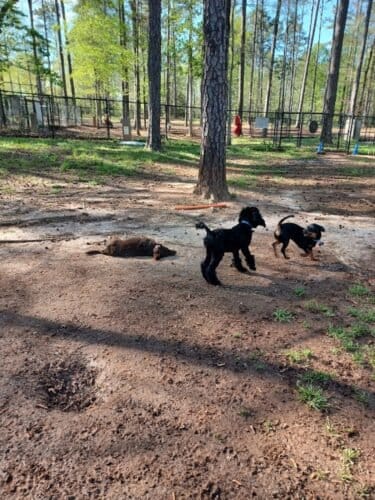 AC9h4npc22dVyoefsPkzkUYuGJWeGb95rU TrU TPRpJoxsKCpnIvy64AI0aAtFMarWm5a hSqo9QKi69aY1j84mXUT7Vghfy1s J3vF4oc fatDv6NnSnmMDqYdzEzsx d5aihm5AAP4gw1600 h1000 k no